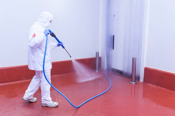 Best Dumpster Area Cleaning  in Dundalk, MD