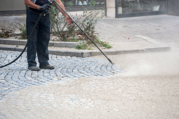 Best Pre-Holiday Cleaning  in Dundalk, MD